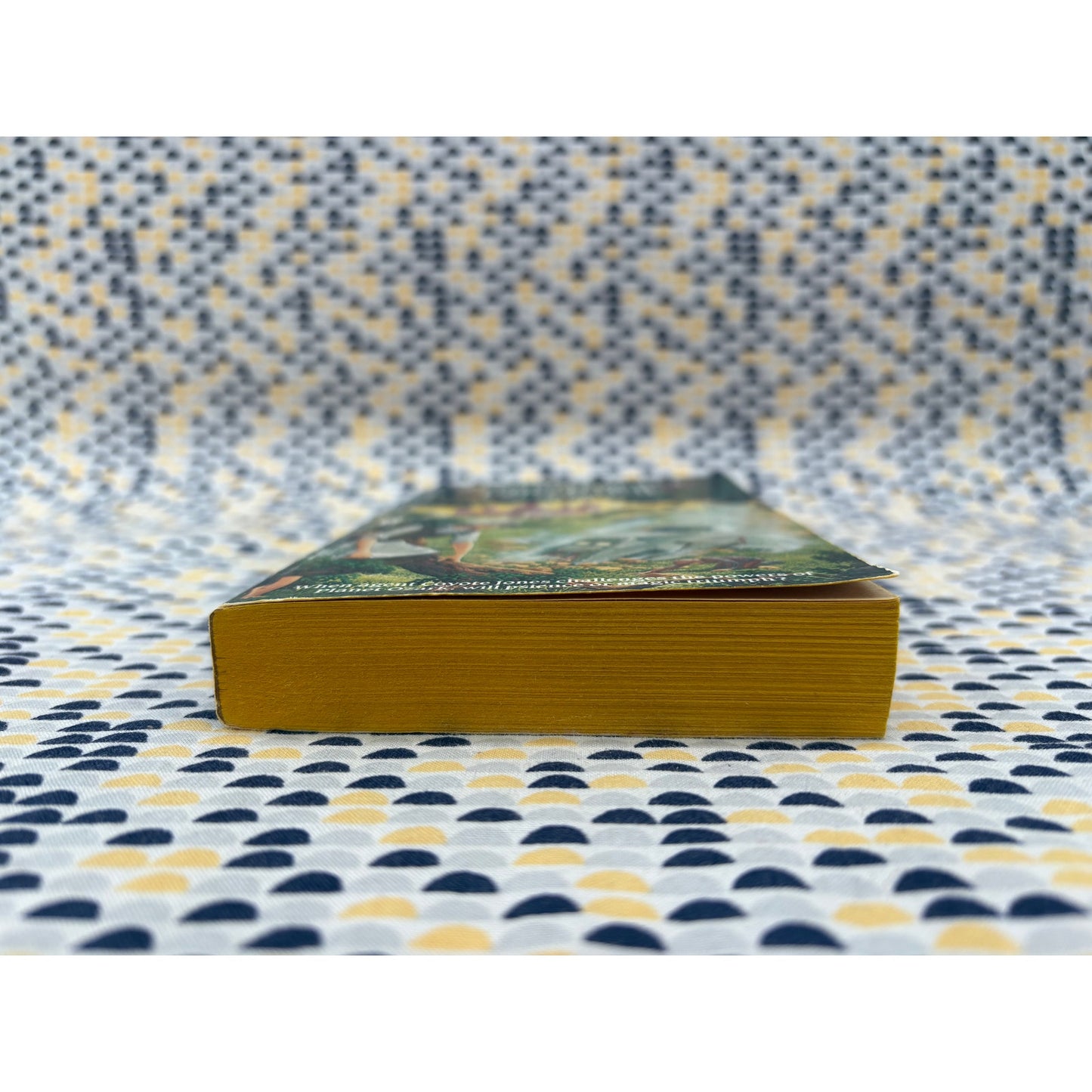 Yonder Comes the Other End of Time - Suzette Haden Elgin - Daw Books - Hardcover