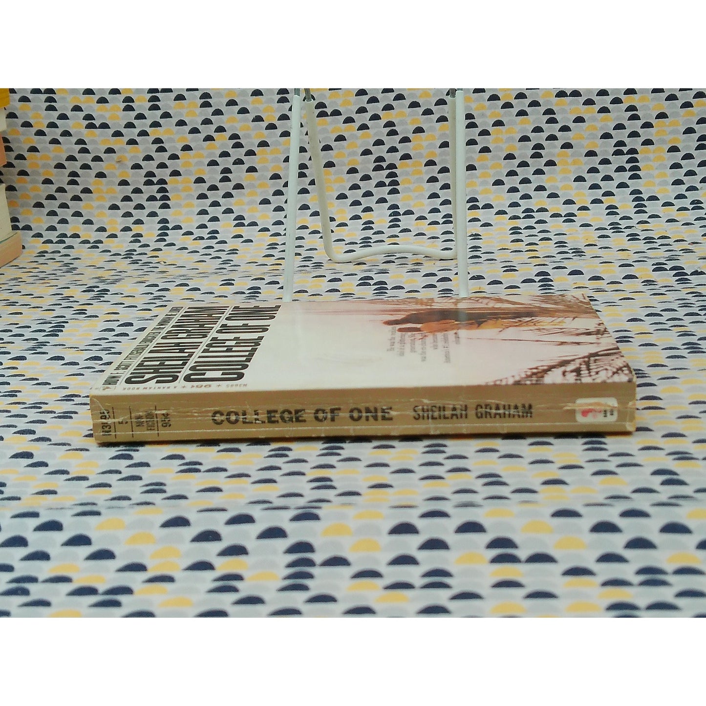 College Of One - Sheilah Graham - F. Scott Fitzgerald - Bantam Edition