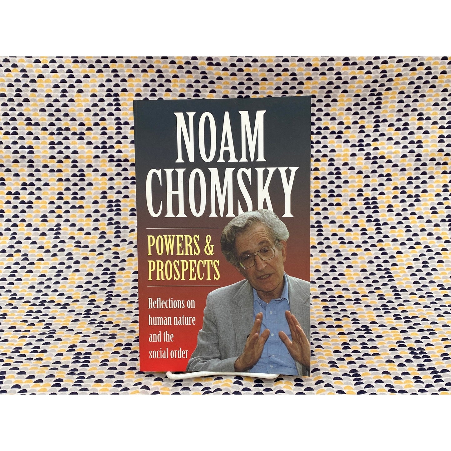 Noam Chomsky - Power and Prospects - Reflections on Human Nature & Social Order