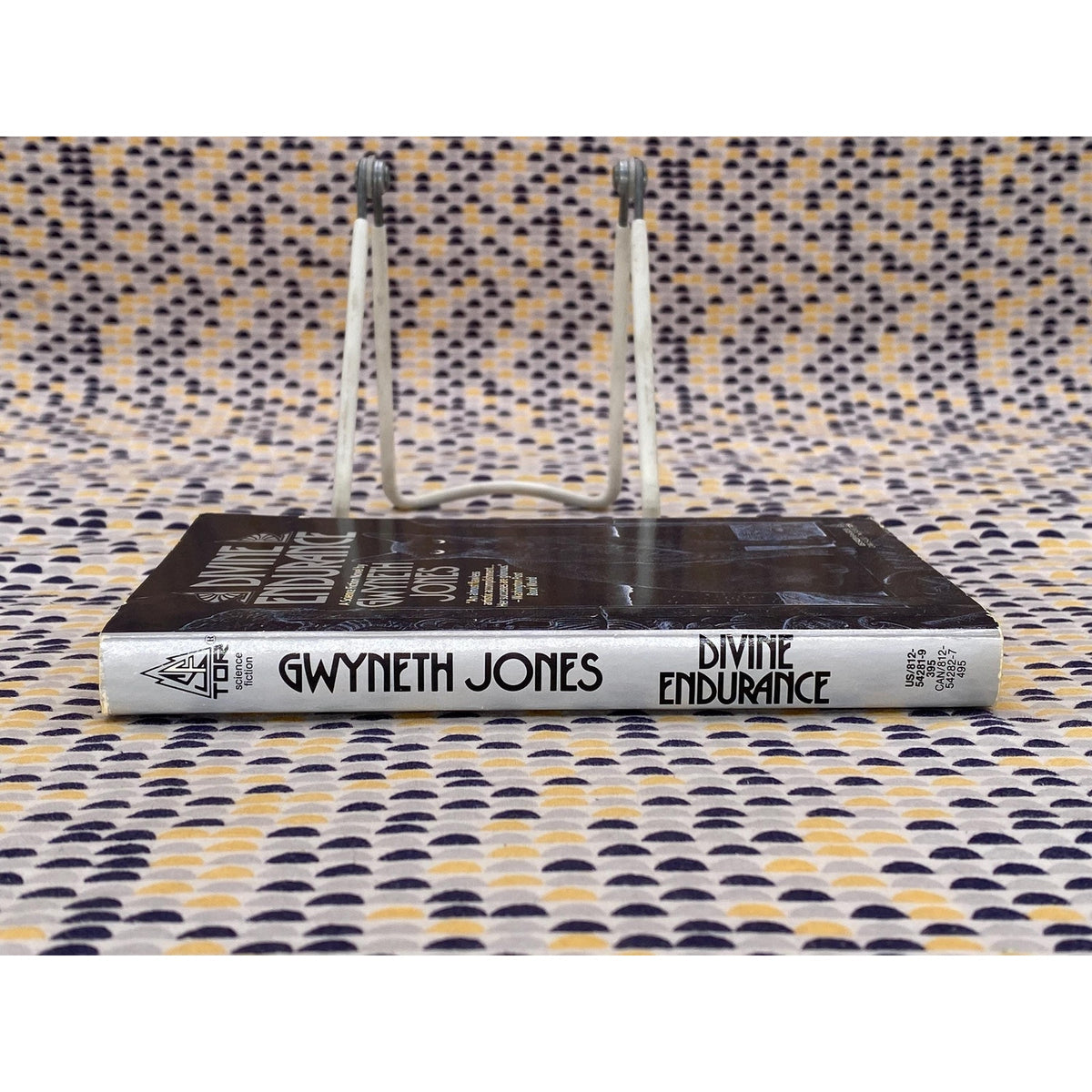 Divine Endurance - Gwyneth Jones - Vintage Paperback Book - Tor Edition