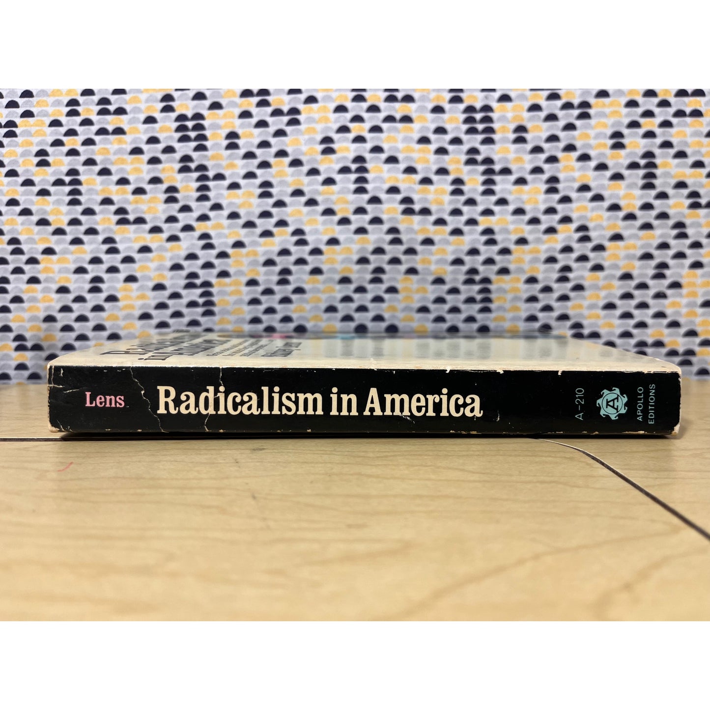 Radicalism in America - Sidney Lens-  Apollo Editions - Paperback