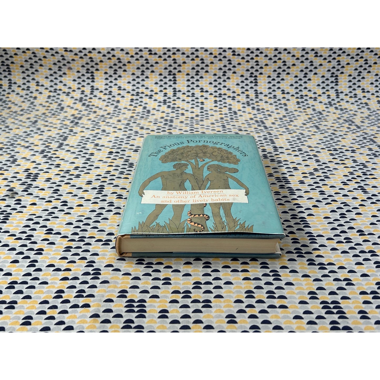 The Pious Pornographers - William Iversen - Morrow - Hardcover