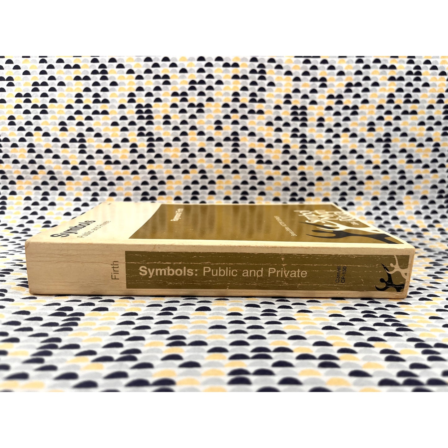 Symbols: Public and Private - Raymond Firth - Cornell Books - Paperback