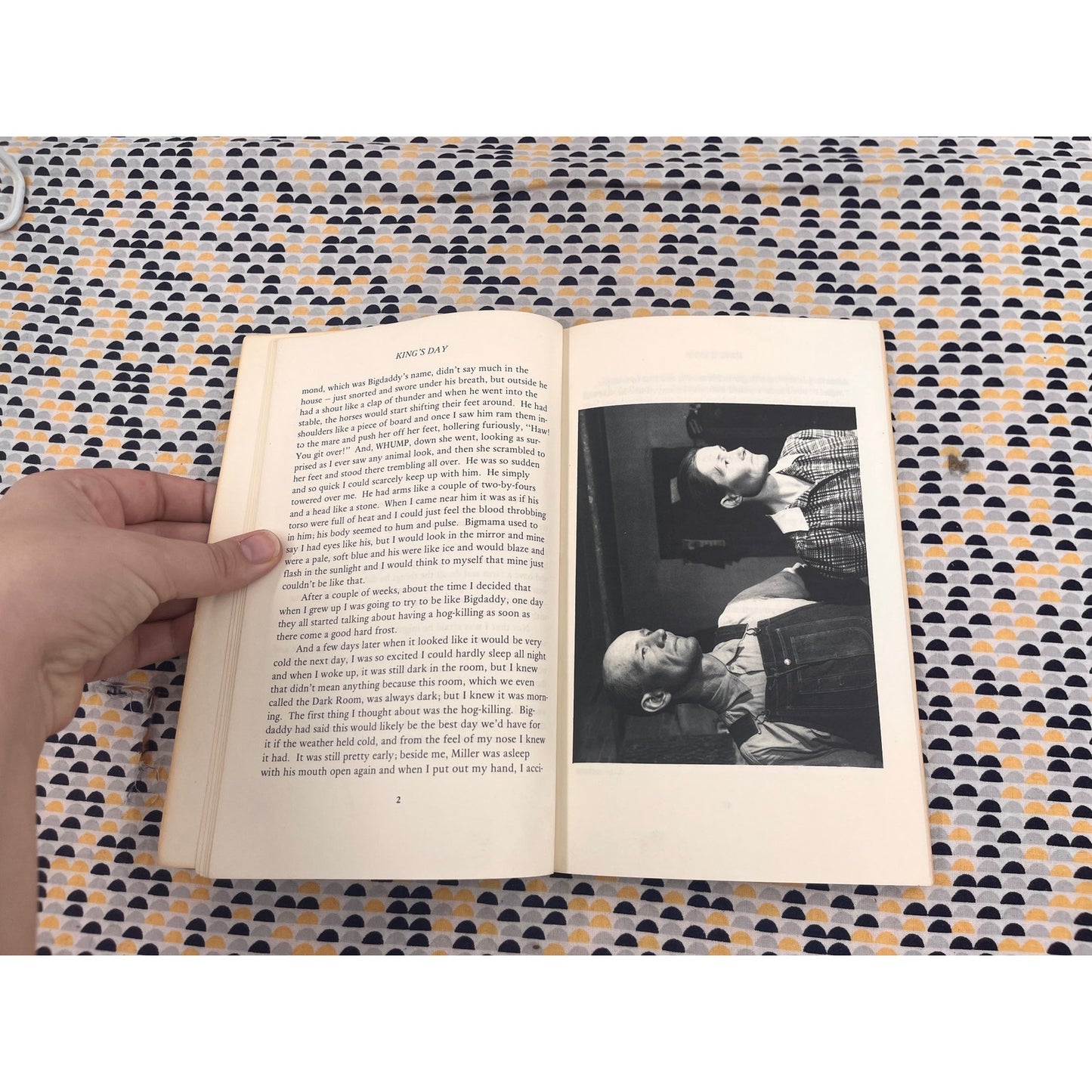 King's Day - T. E. Porter - Mulch Press - Paperback