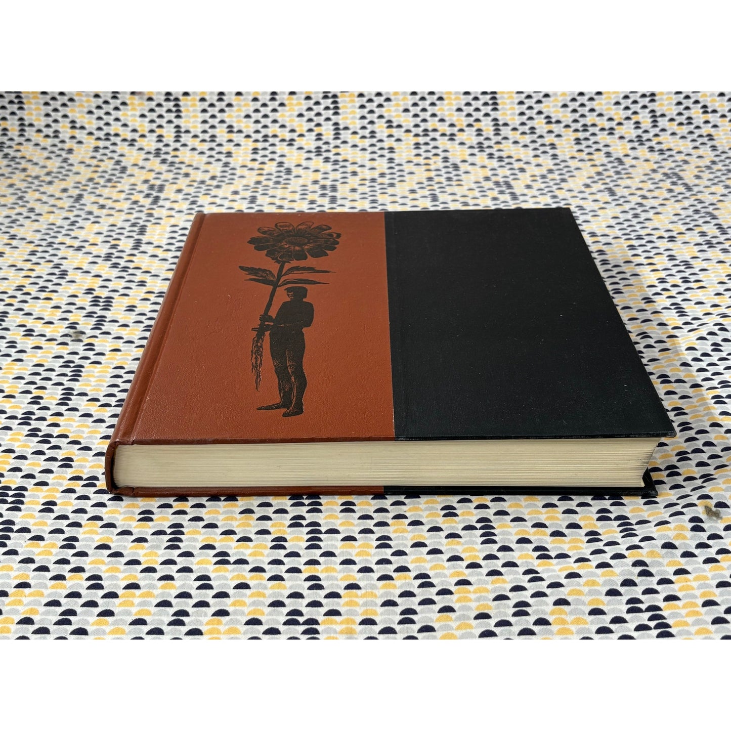 Storyteller Without Words - Lyn Ward - Abrams - Hardcover
