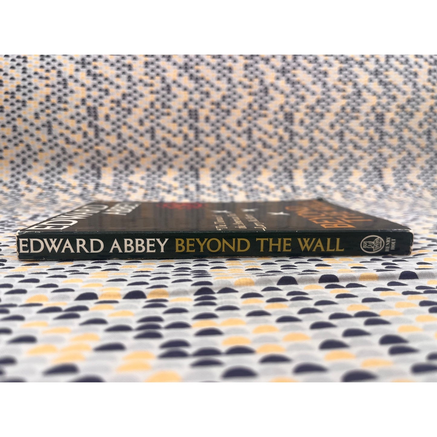 Beyond The Wall - Edward Abbey - Owl Books - Paperback