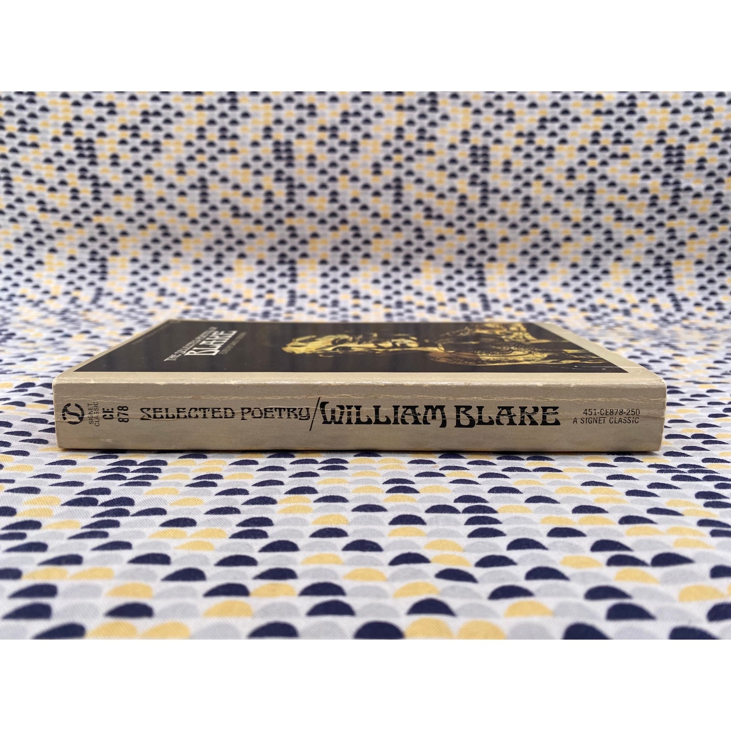 Selected Poetry Of Blake - Signet Classics Edition - Paperback