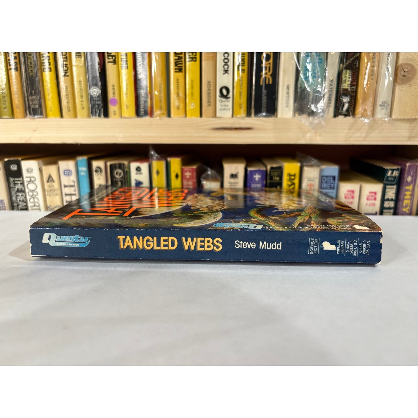 Tangled Webs - Steve Mudd - Questar Books - Paperback