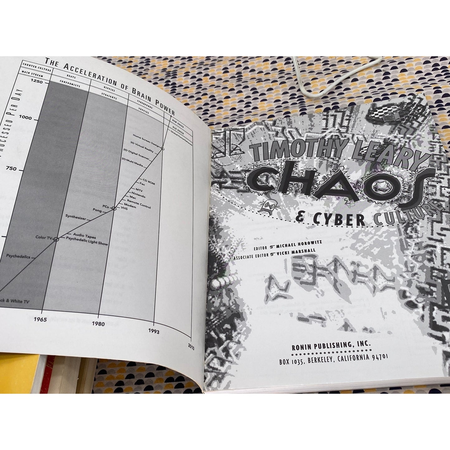 Chaos & Cyber Culture - Timothy Leary - Vintage Paperback Book - Ronin Publishing Edition
