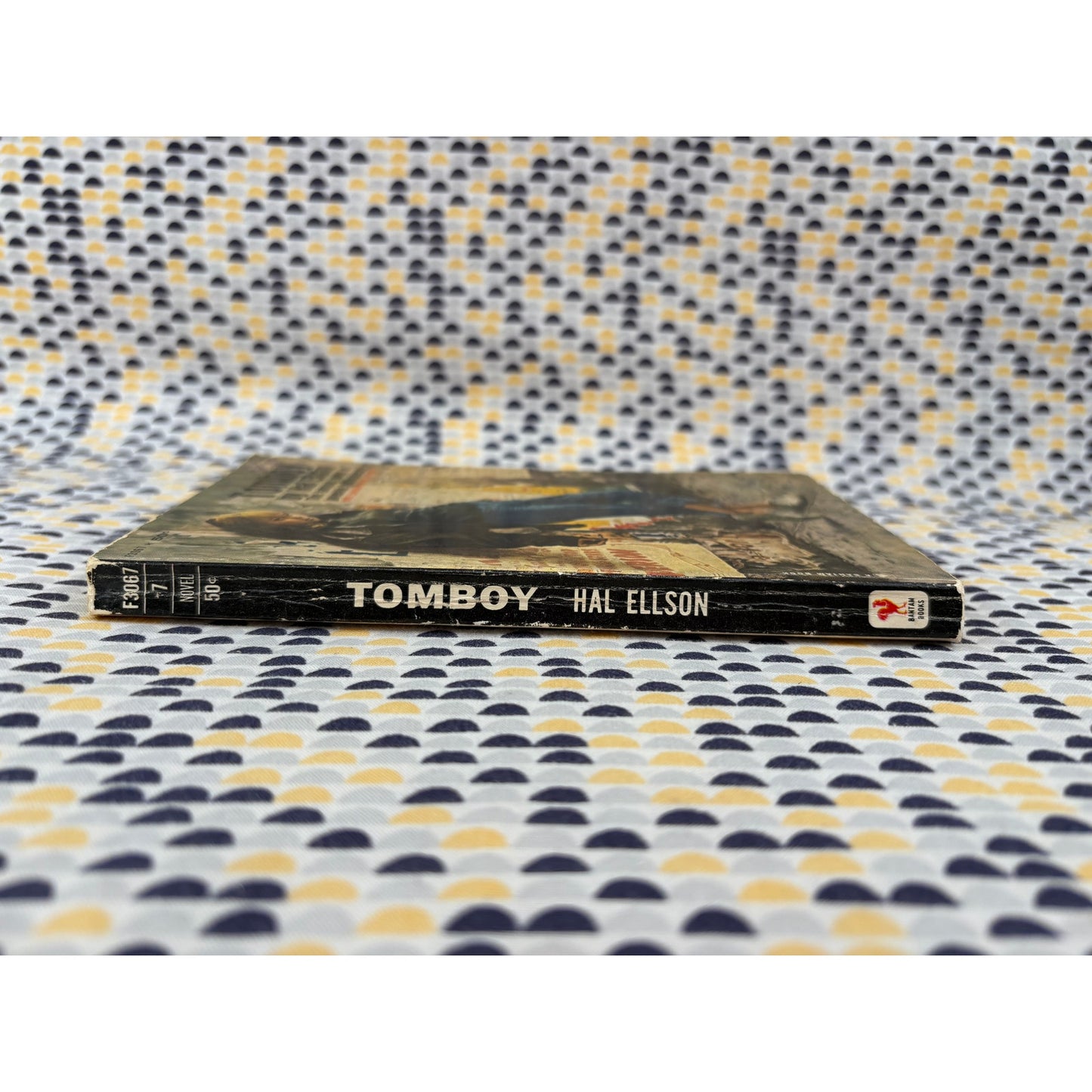 Tomboy - Hal Ellson - The Famous Novel of Juvenile Delinquency - Vintage Paperback Book - Bantam Edition
