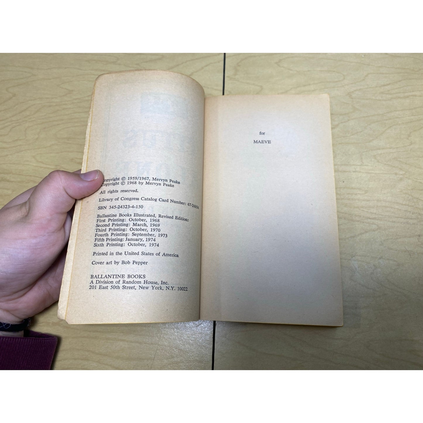 Titus Alone - Gormenghast - Mervyn Peake - Ballantine Fantasy