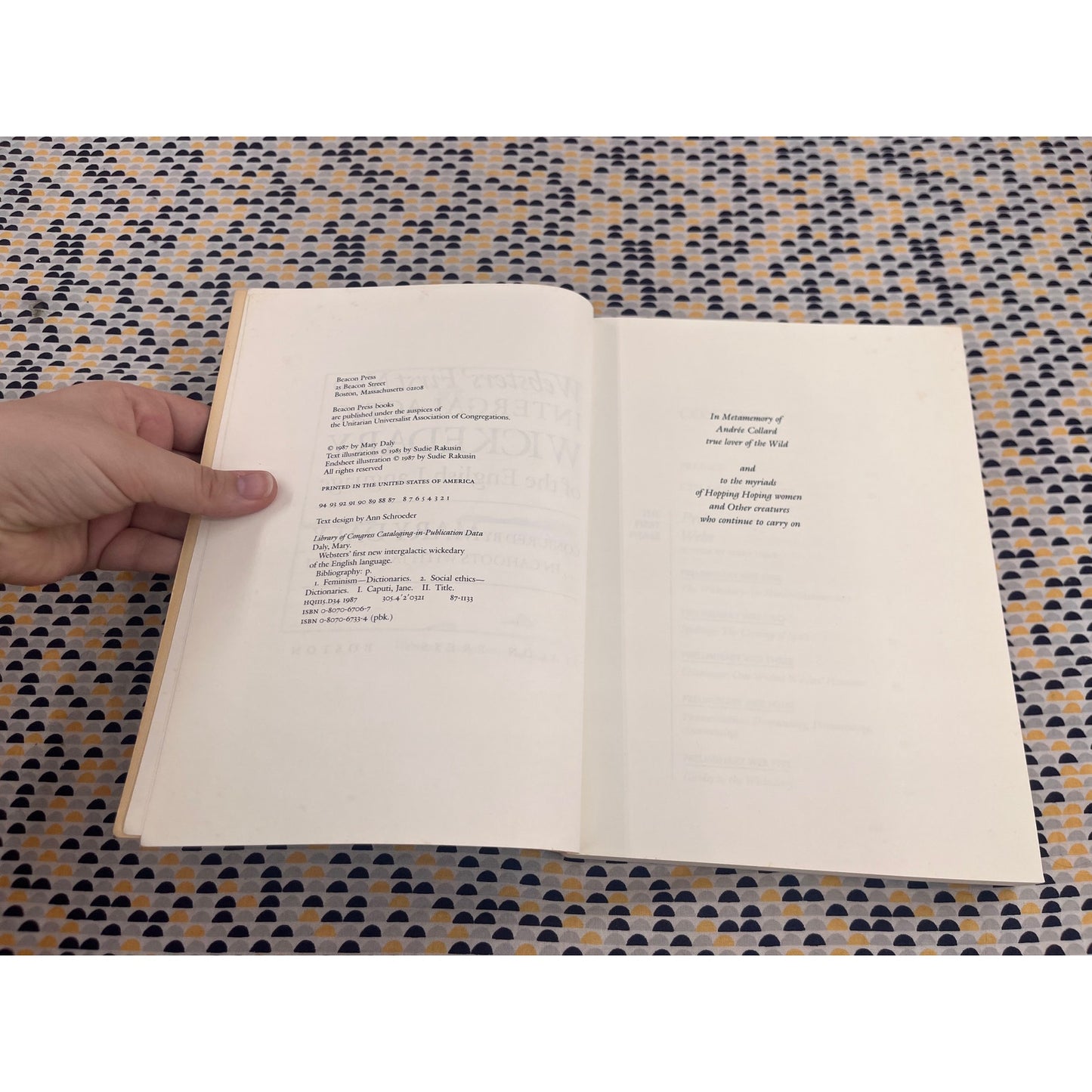 Websters' First New Intergalactic Wickedary of the English Language - Mary Daly - Beacon Press - Paperback