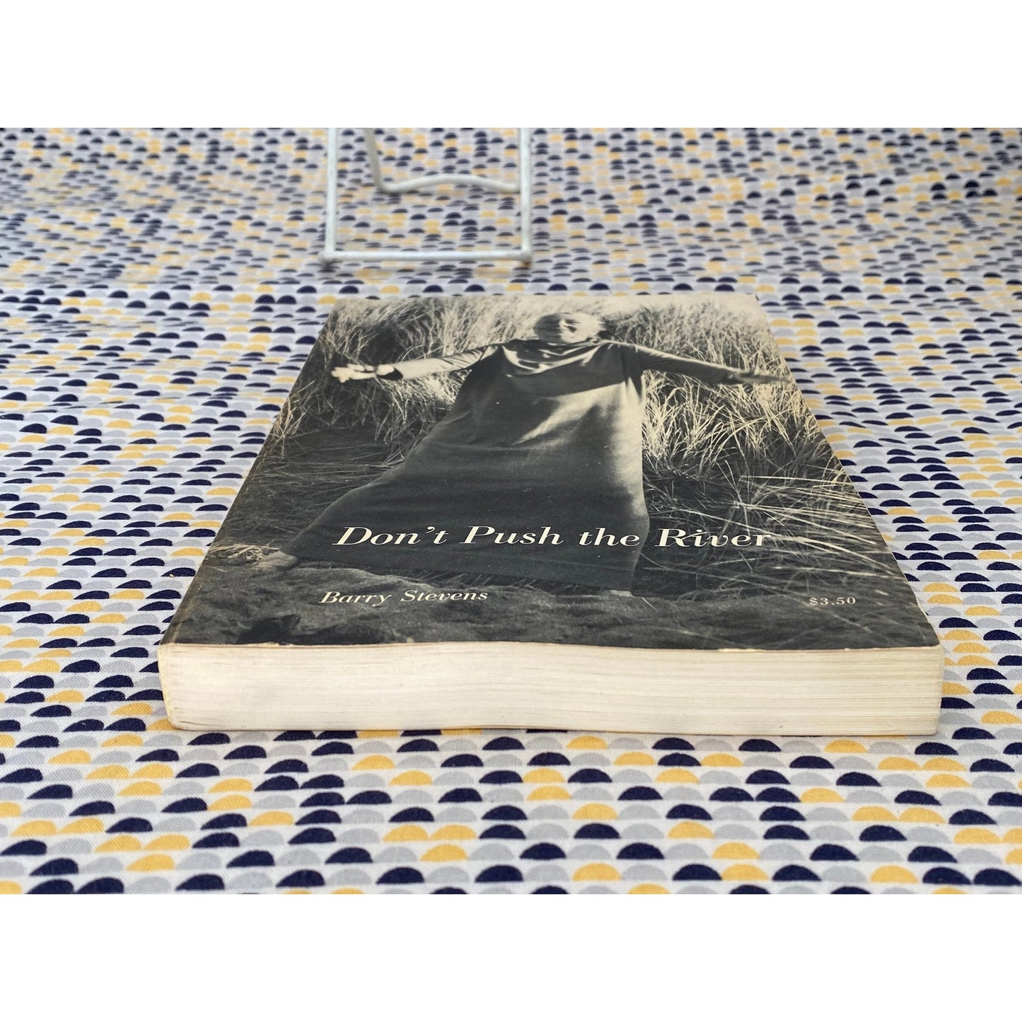 Don't Push The River - Barry Stevens - Real People Press Edition