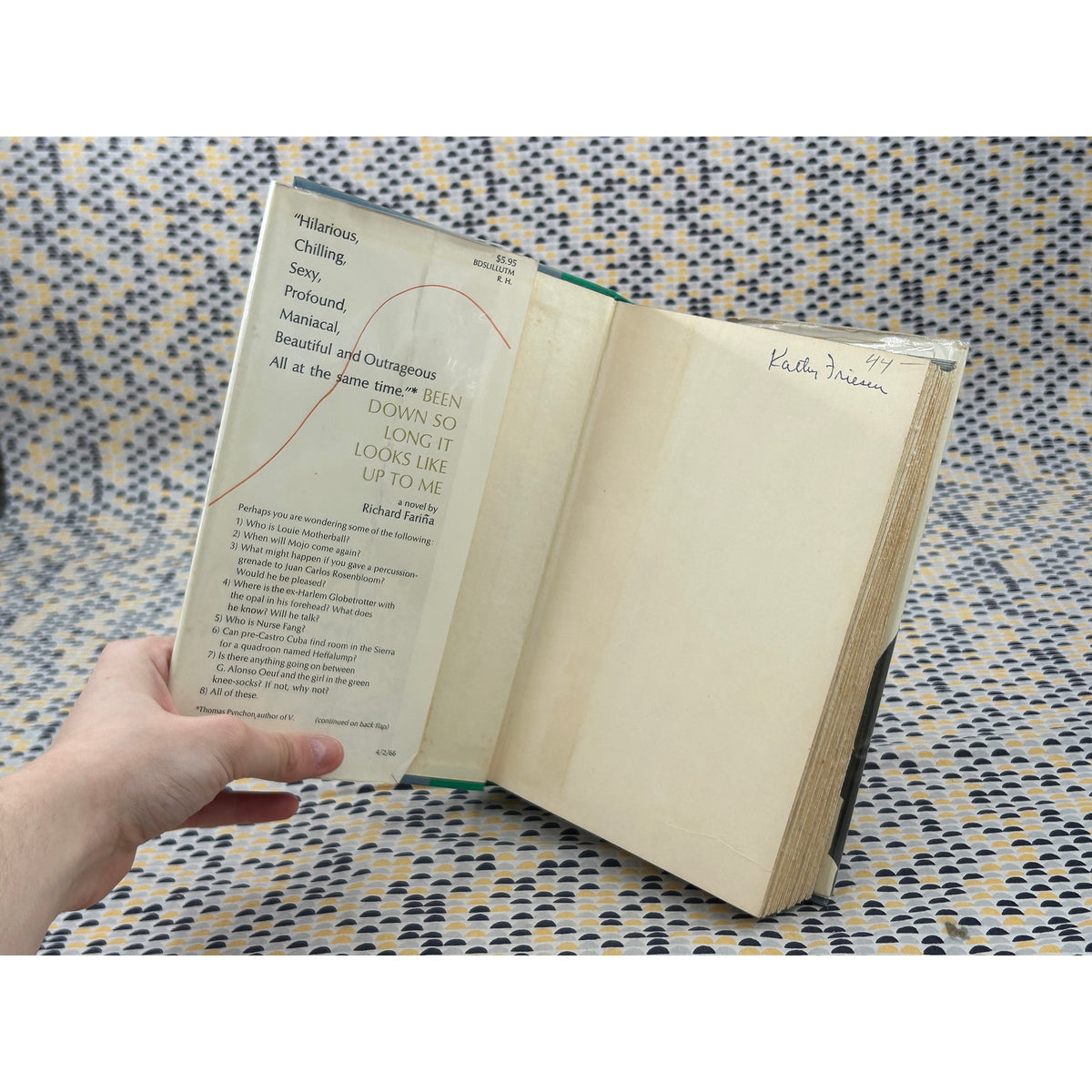 Been Down So Long It Looks Like Up To Me - Richard Farina - 1st Edition 1st Printing - Random House - Hardcover