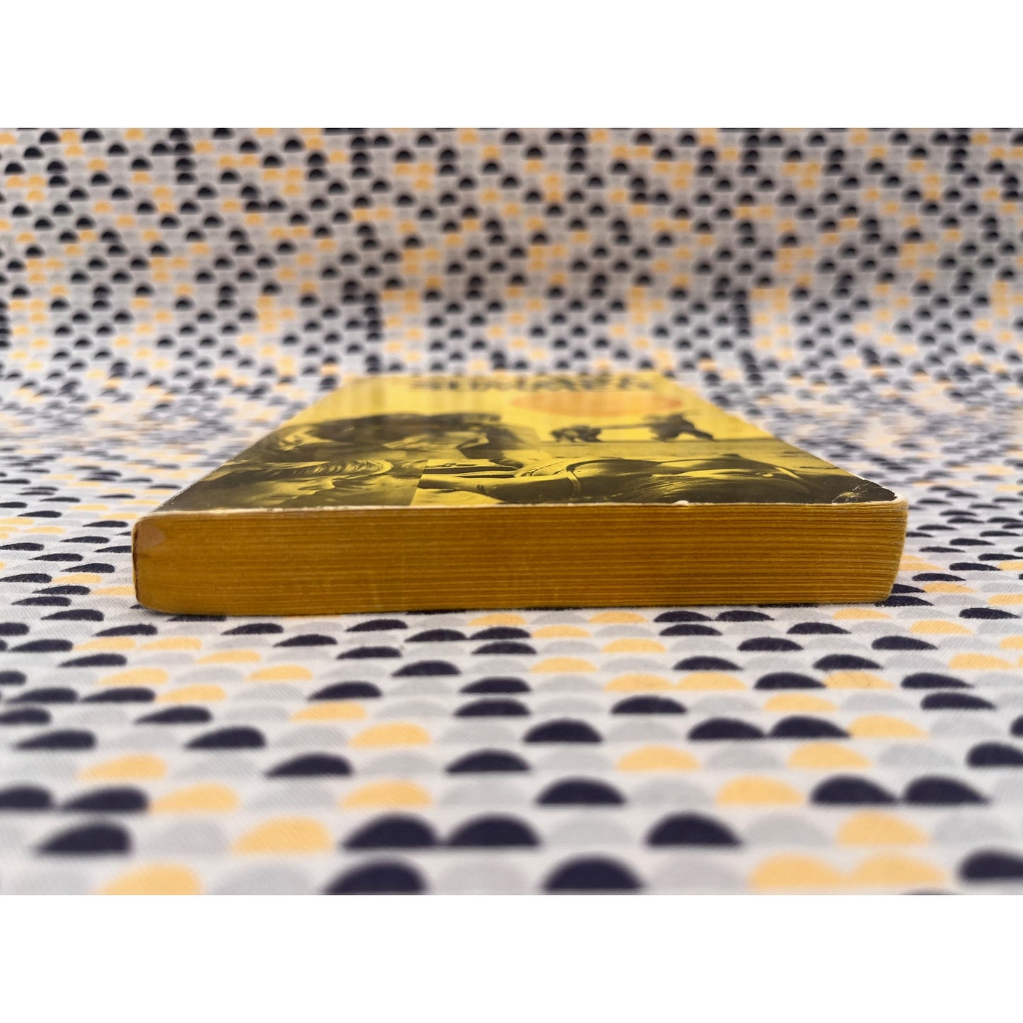 Last Summer - Evan Hunter - Signet Books - Paperback