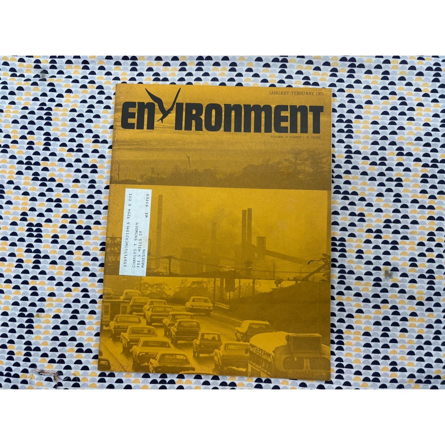Environment Magazine  - January 1971 - Vintage Ecology