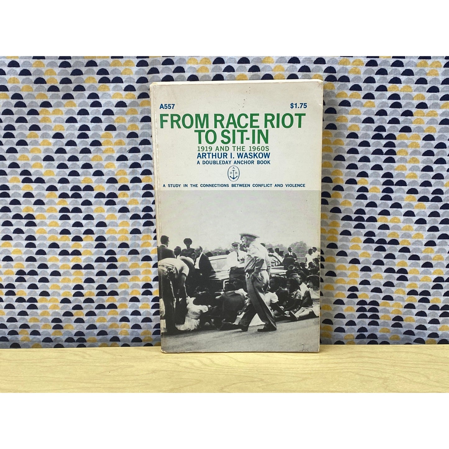 From Race Riot to Sit-In - 1919 and the 1960s - Arthur Waskow - Vintage Paperback Book - 1967 Anchor Edition