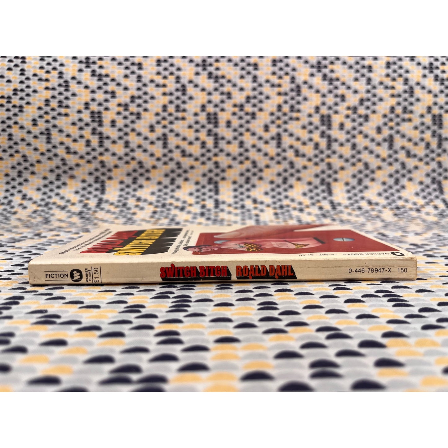Switch Bitch - Ronald Dahl - Warner Books - Paperback