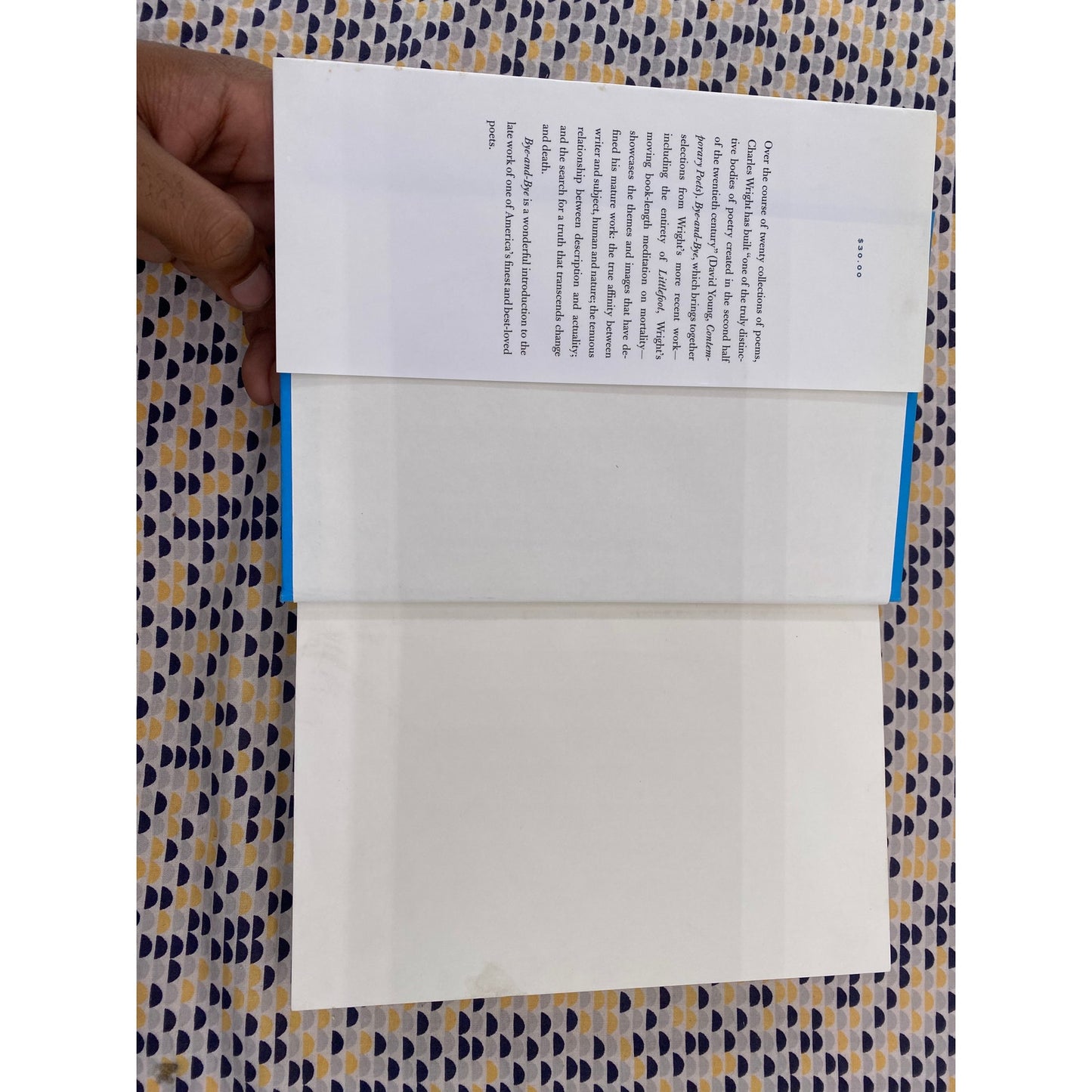 Bye And Bye - Charles Wright - FSG - Hardcover - 1st Edition 1st Printing