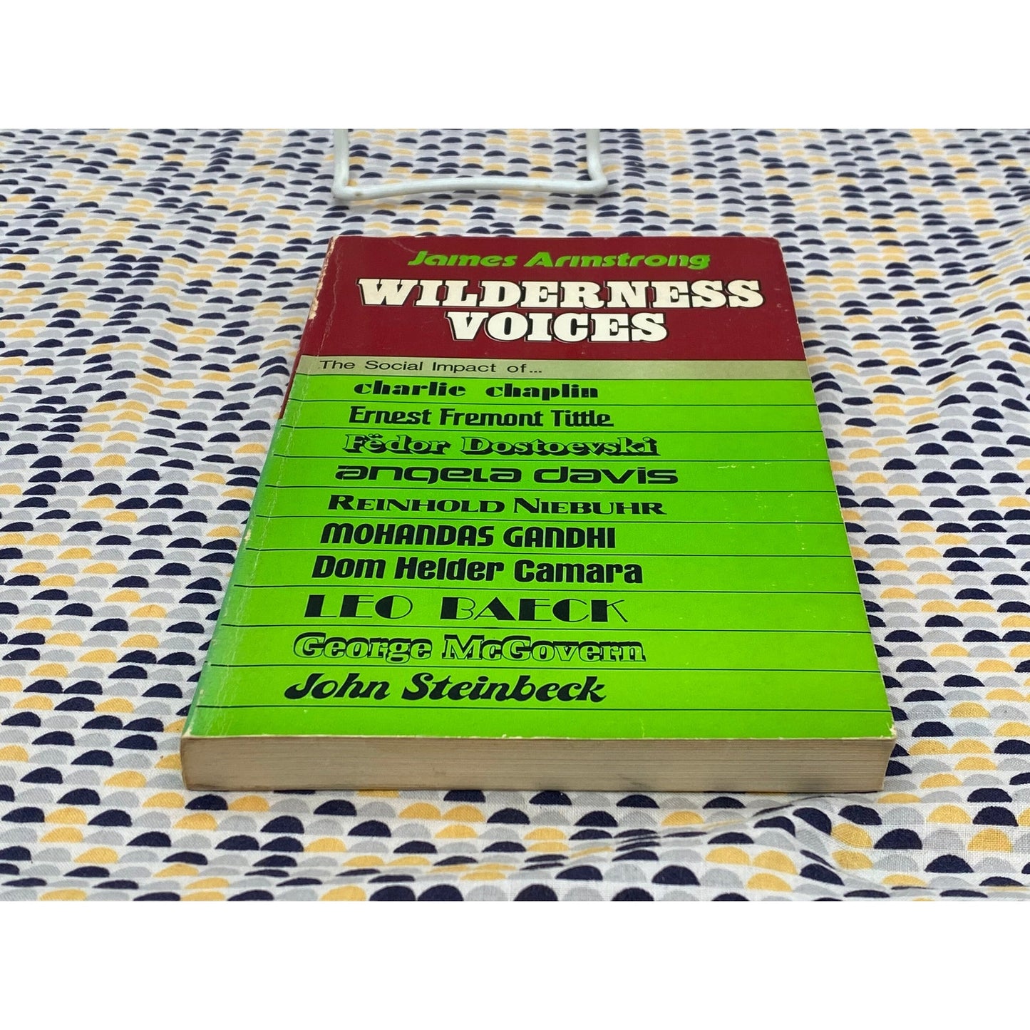 Wilderness Voices - Angela Davis, Steinbeck, McGovern, Gandhi, Camara - Vintage Paperback Book - Parthenon Press