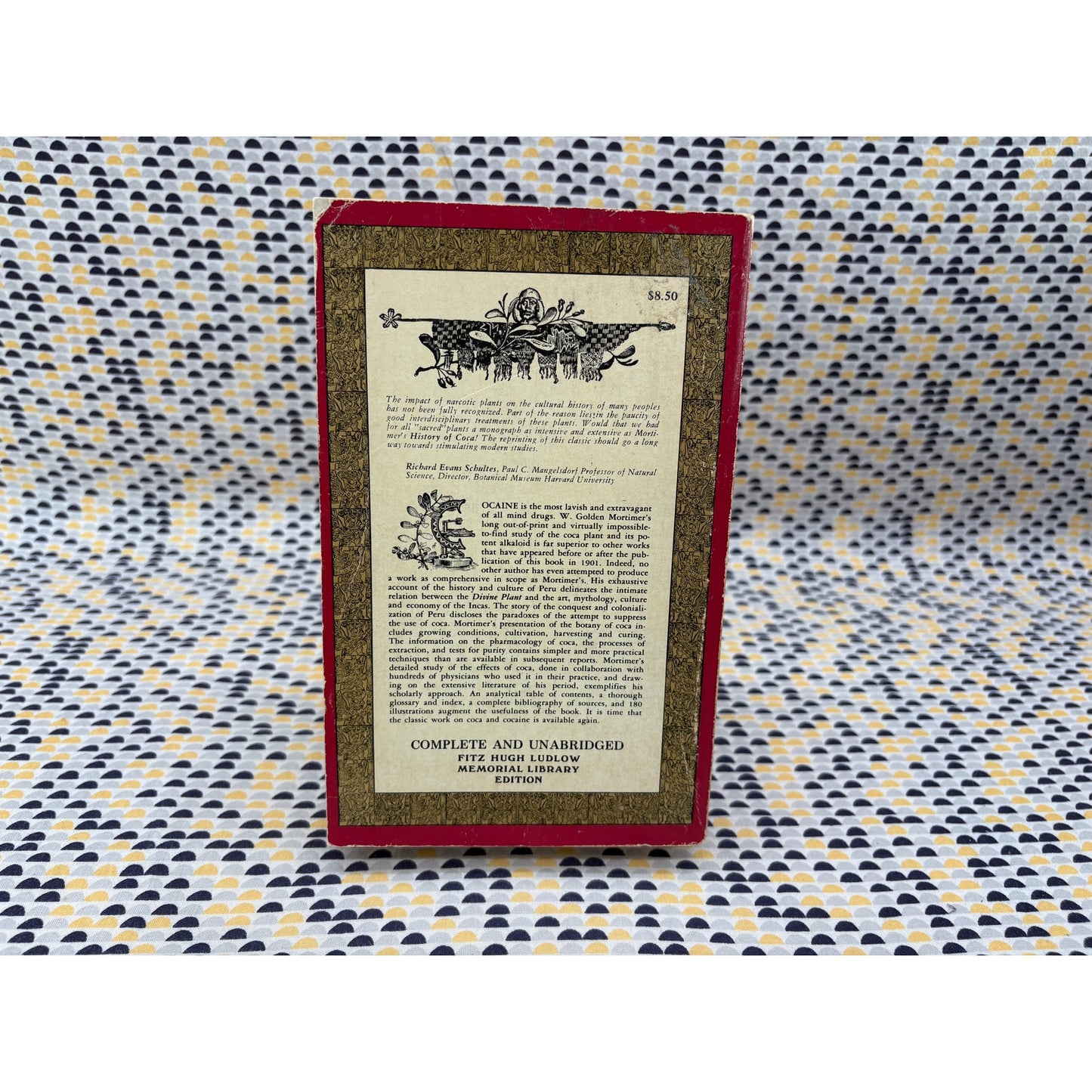 History Of Coca - W. Golden Mortimer - Fitz Hugh Ludlow - Paperback