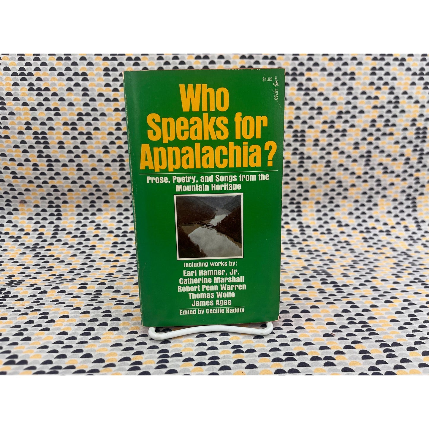 Who Speaks for Appalachia? - Ed. Cecile Haddix - Pocket Books - Paperback