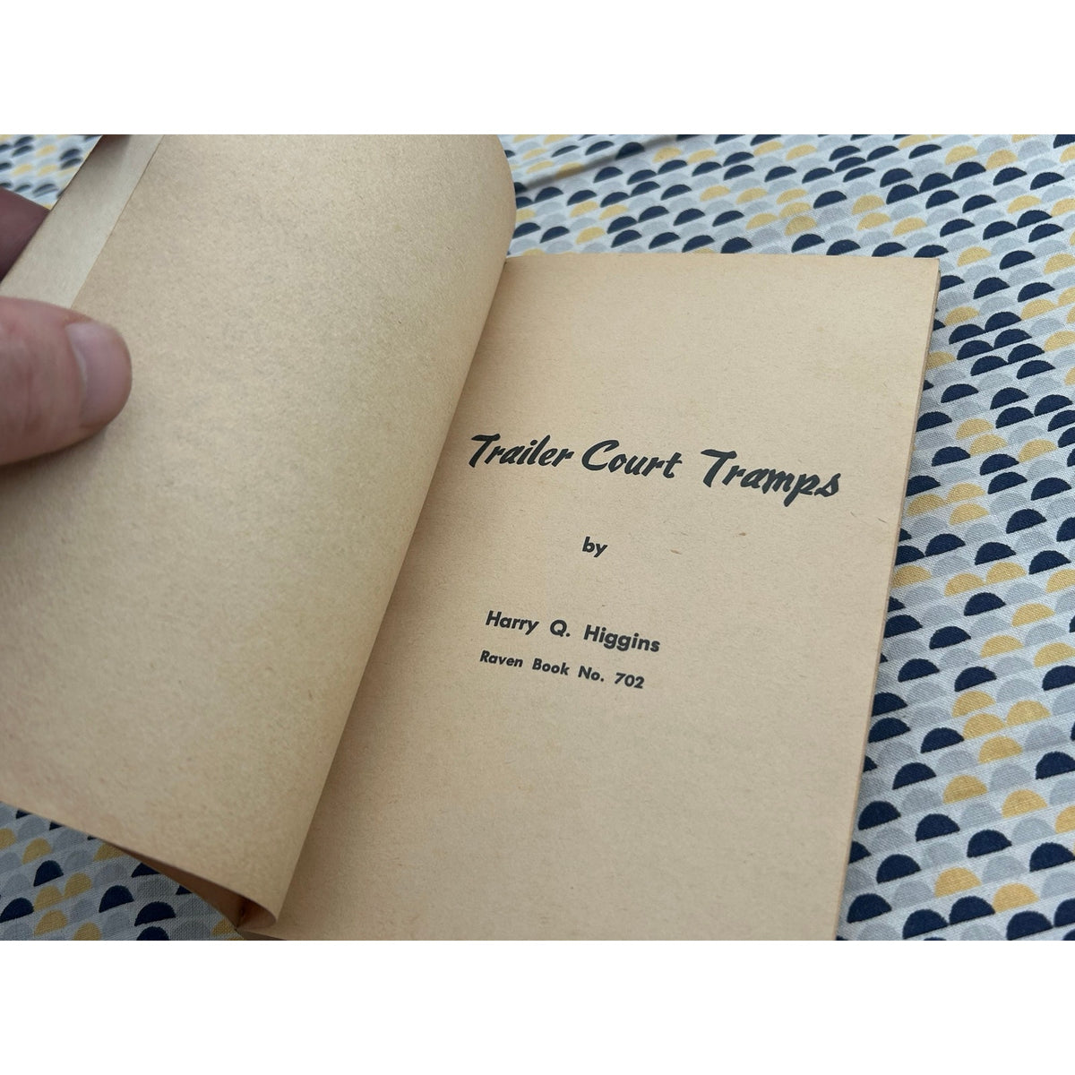 Trailer Court Tramps - Harry Q. Higgins - Raven Book 704 - Sleaze - Vintage Paperbacks