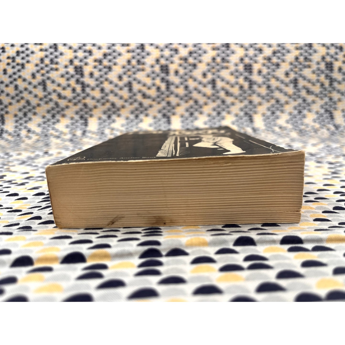 Radical Man - Charles Hampden-Turner -  Doubleday Anchor Books - Paperback