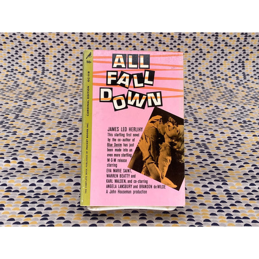 All Fall Down - James Leo Herlihy - Vintage Paperback Book - Pocket Edition