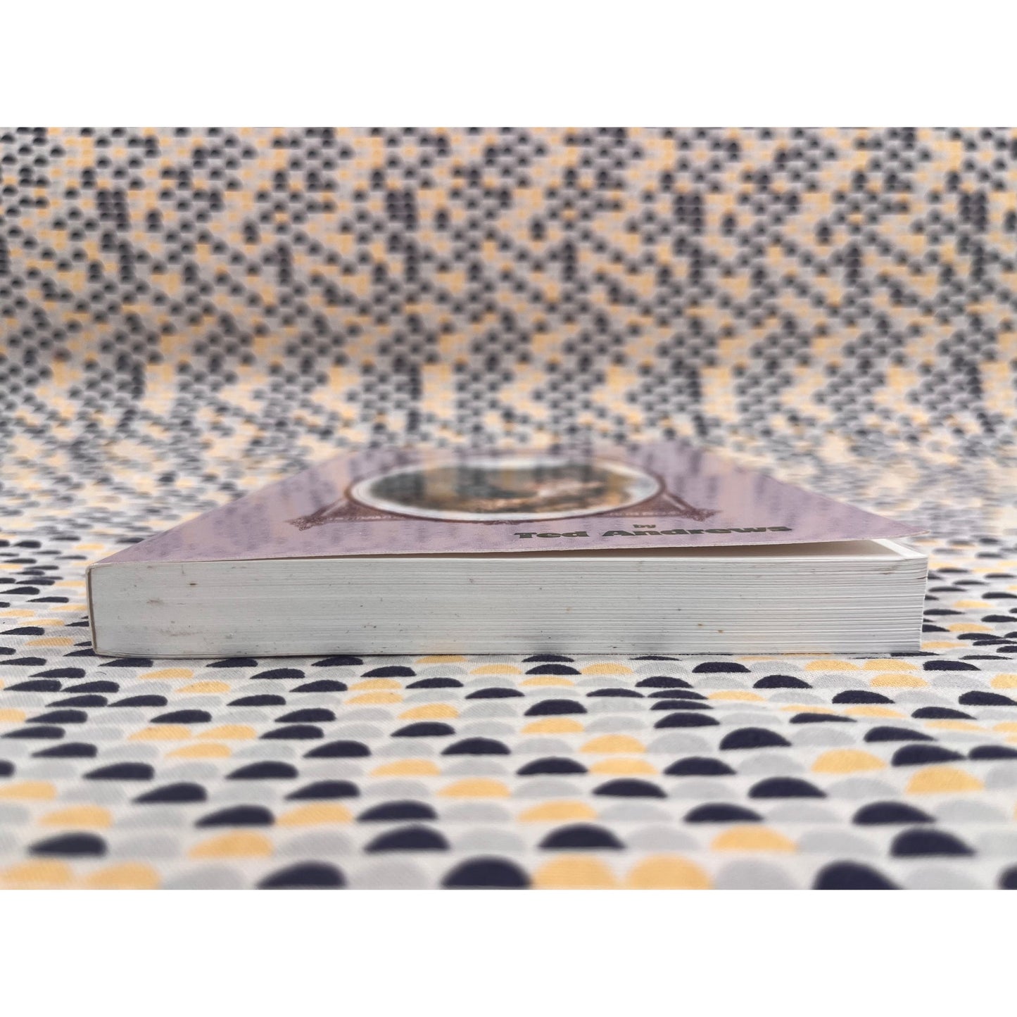 The Animal-Wise Tarot - Ted Andrews - Dragonhawk Publishing - Paperback