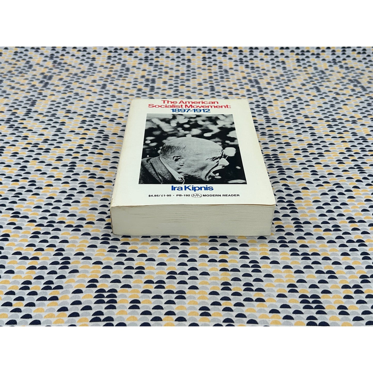 The American Socialist Movement - Ira Kipnis - Modern Reader - Paperback