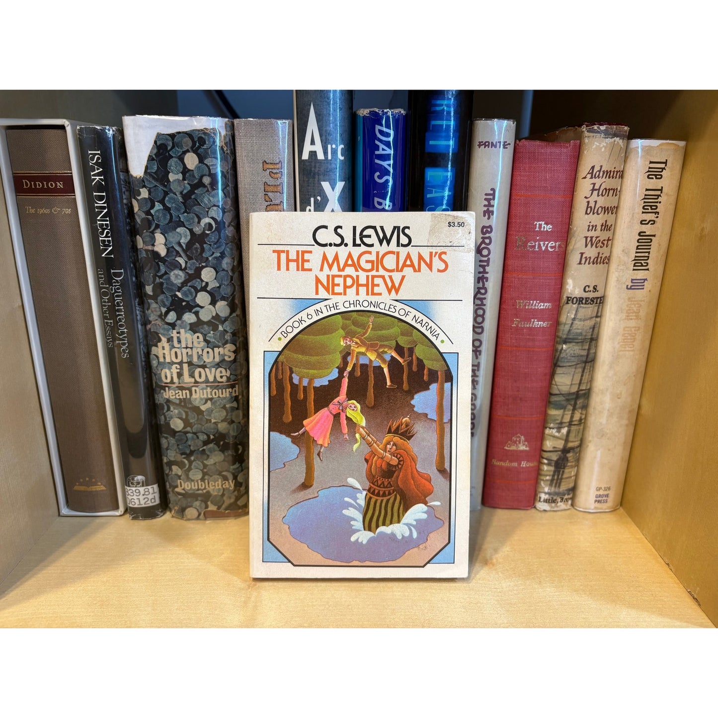 The Magician's Nephew - Book 6 in The Chronicles of Narnia - C.S. Lewis