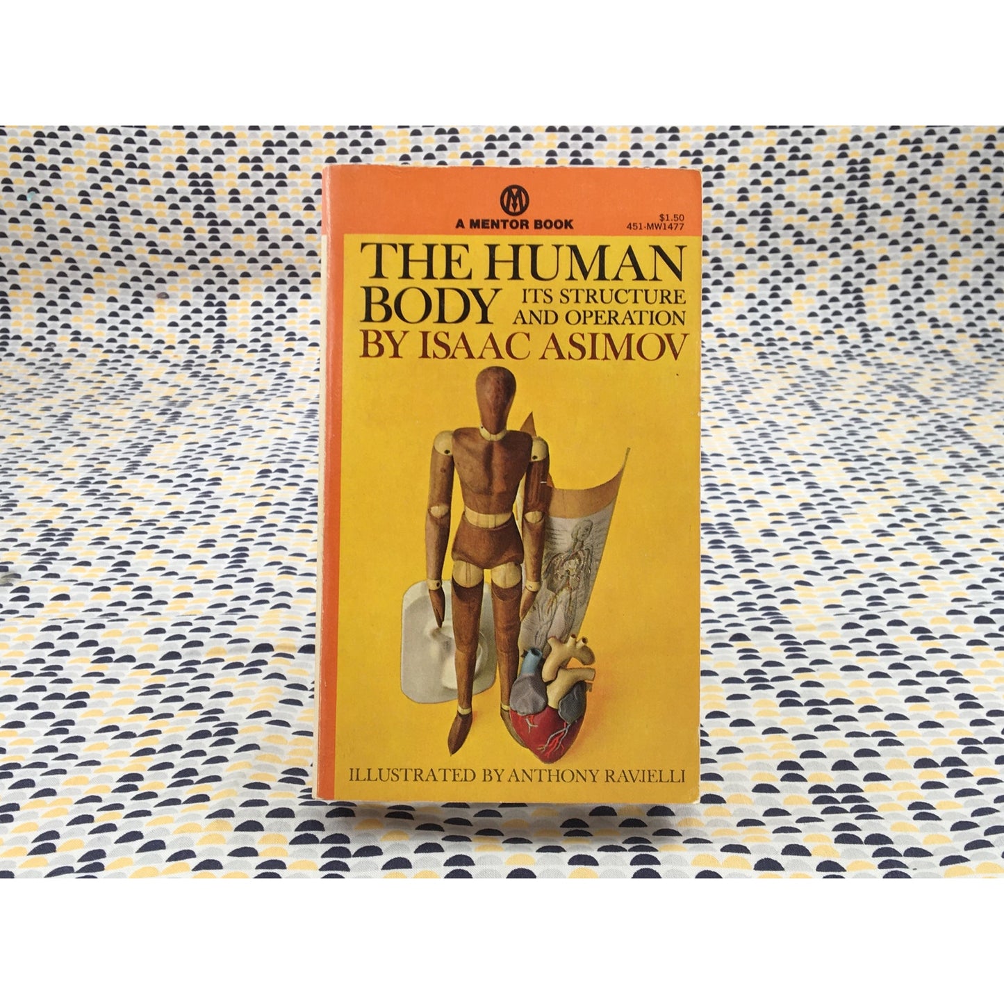 The Human Body Its Structure And Operation - Isaac Asimov - Mentor - Paperback