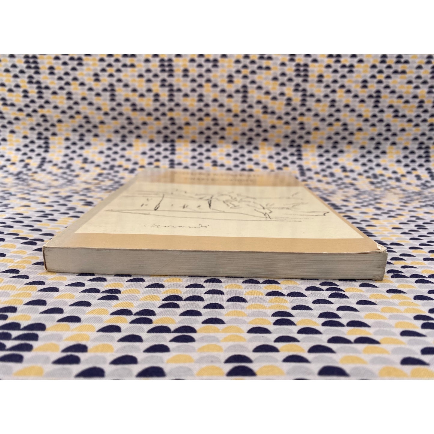 Country Music - Charles Wright - Wesleyan - Paperback - 1st Edition