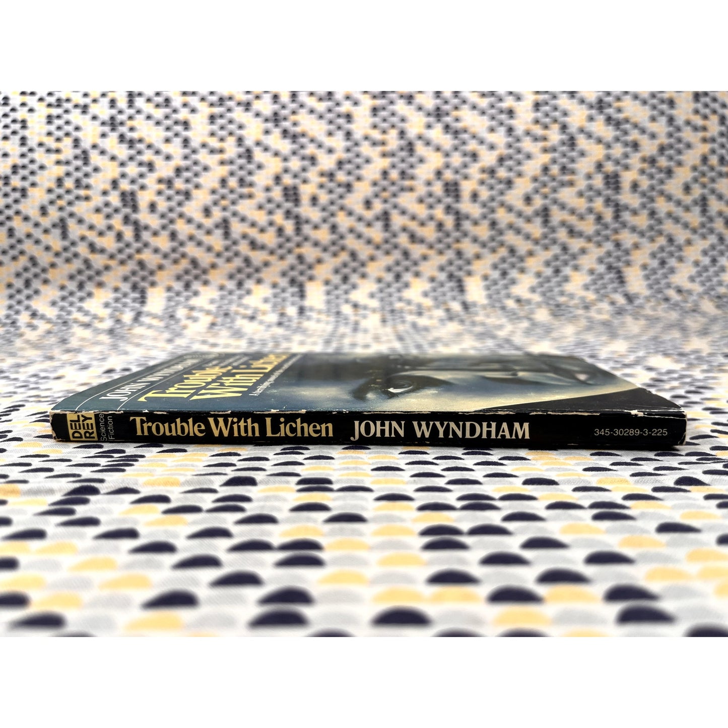 Trouble With Lichen - John Wyndham - Del Rey Books - Paperback