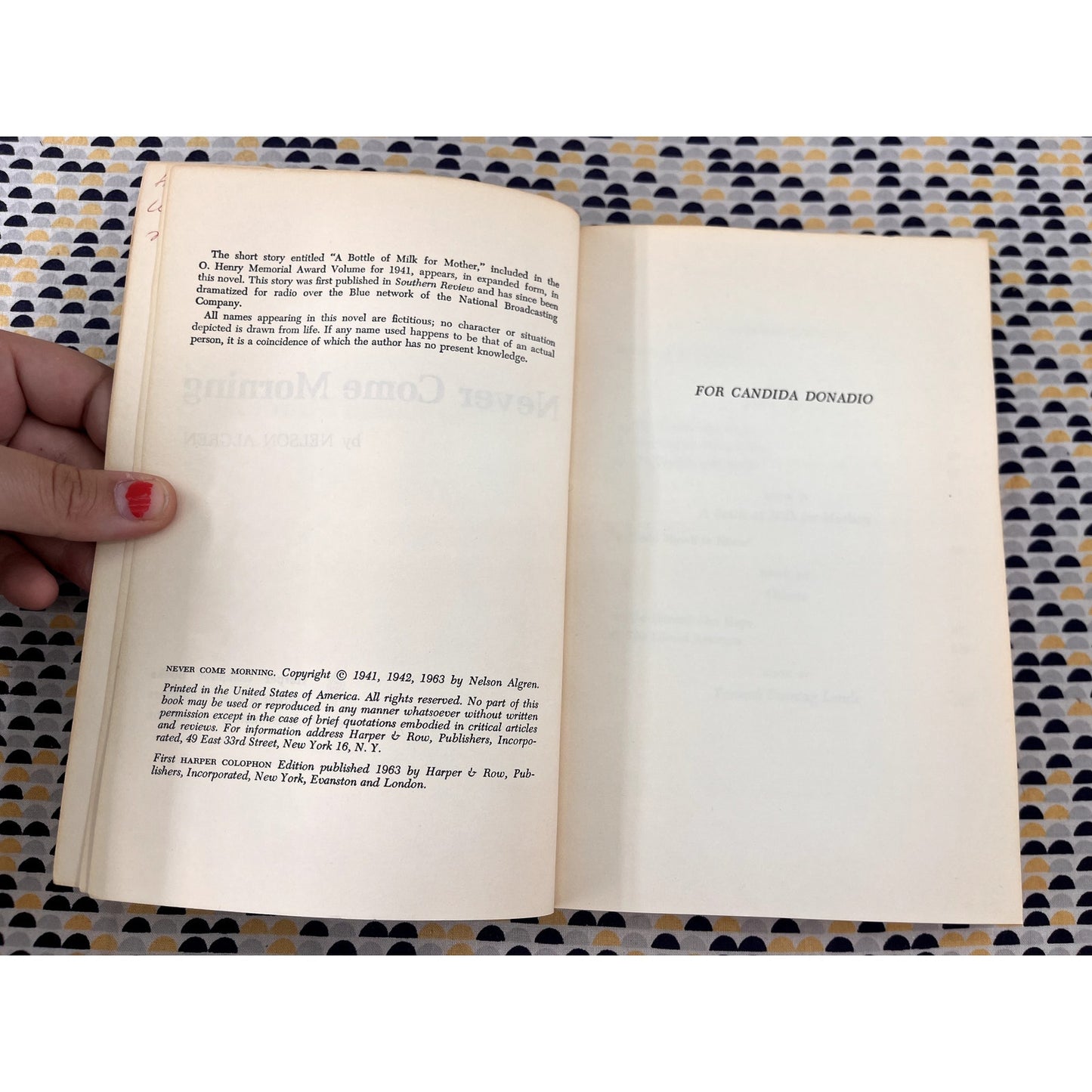 Never Come Morning - Nelson Algren - Harper Colophon Book - Paperback
