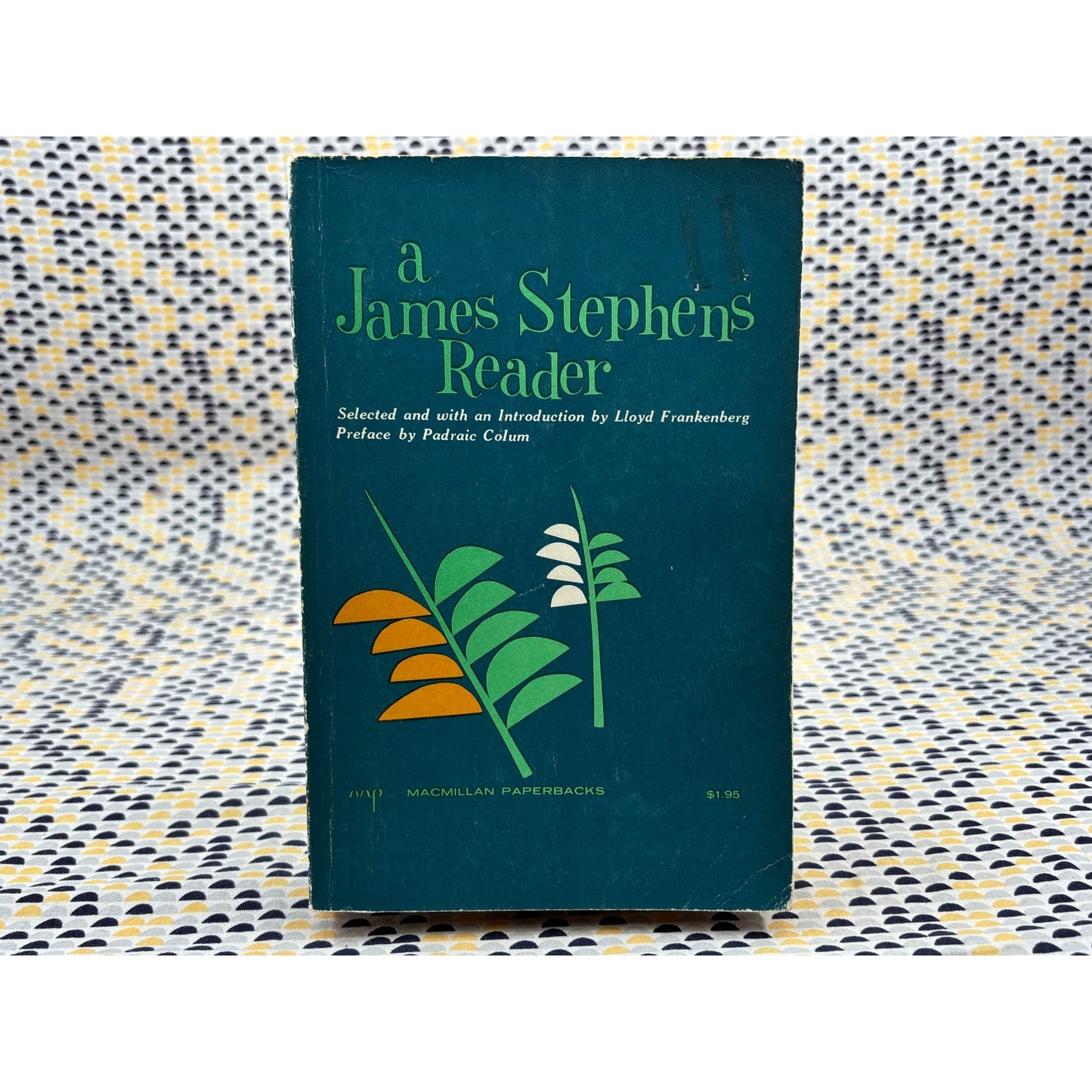 A James Stephens Reader - Macmillan - Paperback