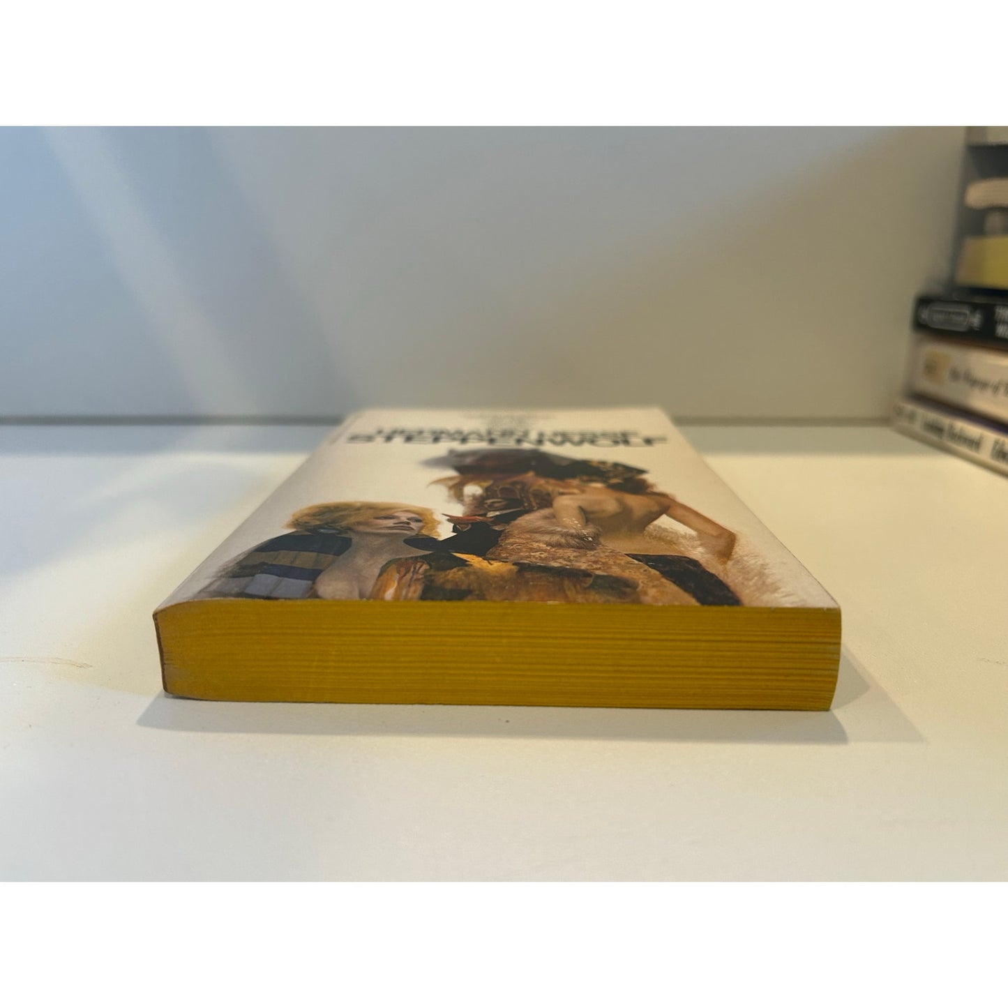 Steppenwolf -  Hermann Hesse - Bantam Edition - Paperback