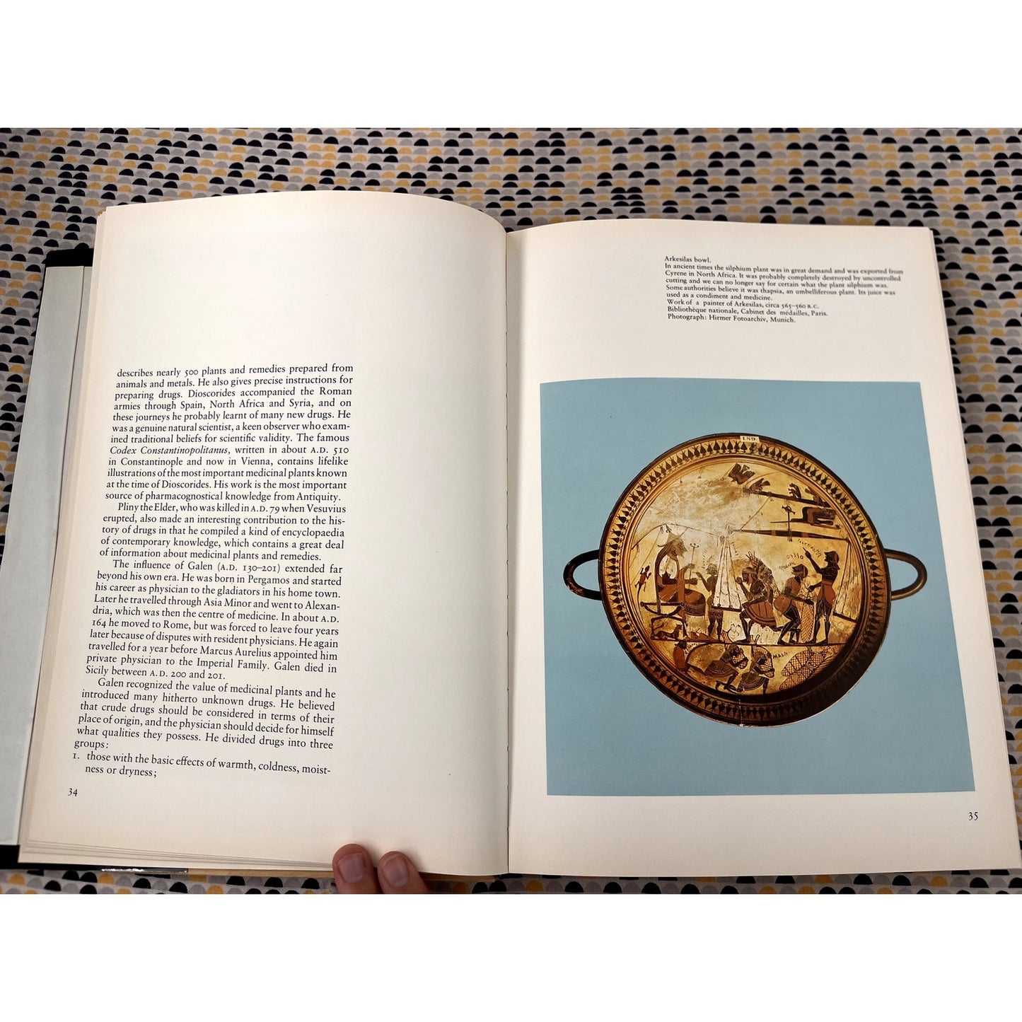 A History of Drugs - Lydia Mez-Mangold - Roche Books - Hardcover
