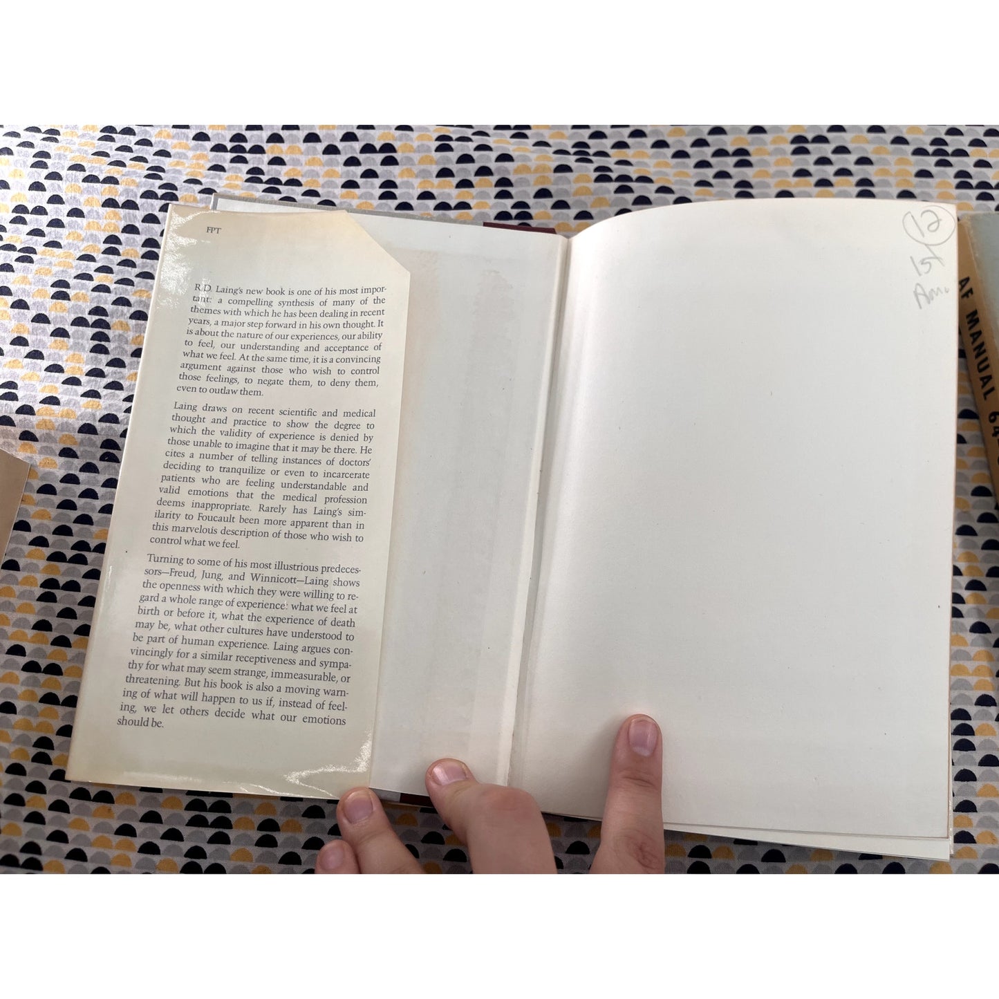 The Voice of Experience - R. D. Laing - Pantheon Books - Hardcover - 1st US Edition