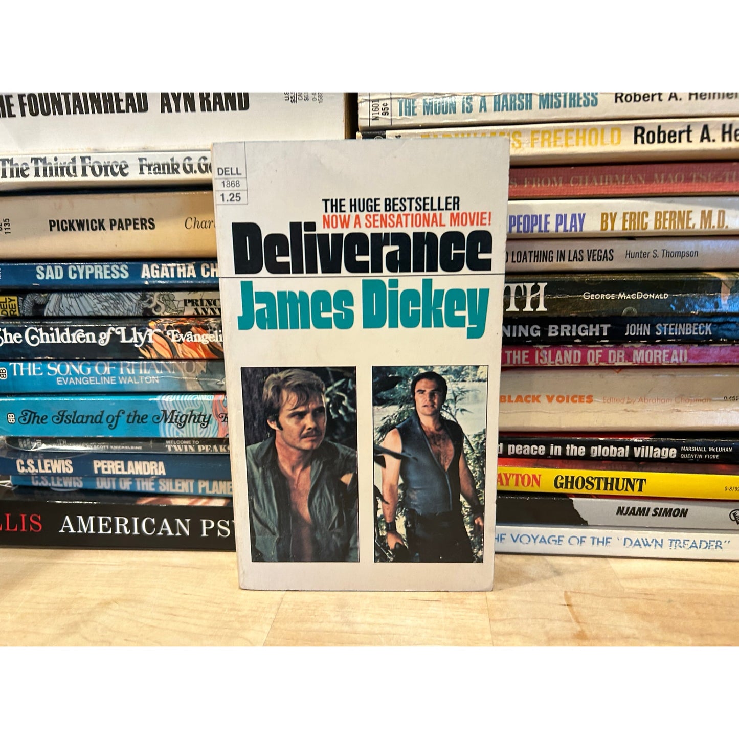 Deliverance - James Dickey - Vintage Paperback Book - Dell Edition
