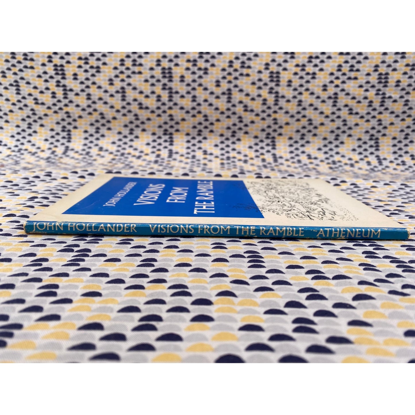 SIGNED - Visions From The Ramble - John Hollander - Atheneum - Paperback