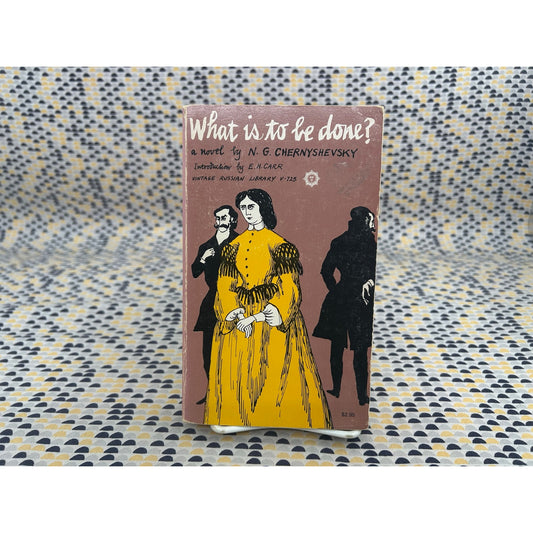 What is to be Done? - N. G. Chernyshevsky - Vintage Russian Library - Edward Gorey Cover