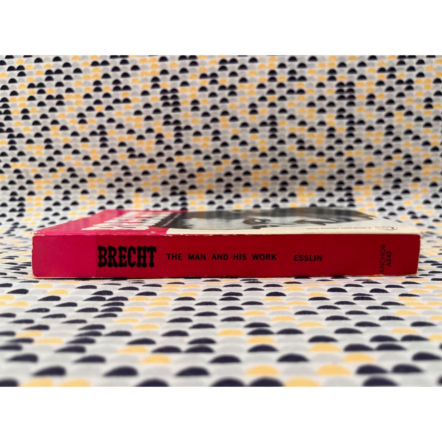 Brecht - Martin Esslin - Doubleday Anchor Books - Paperback