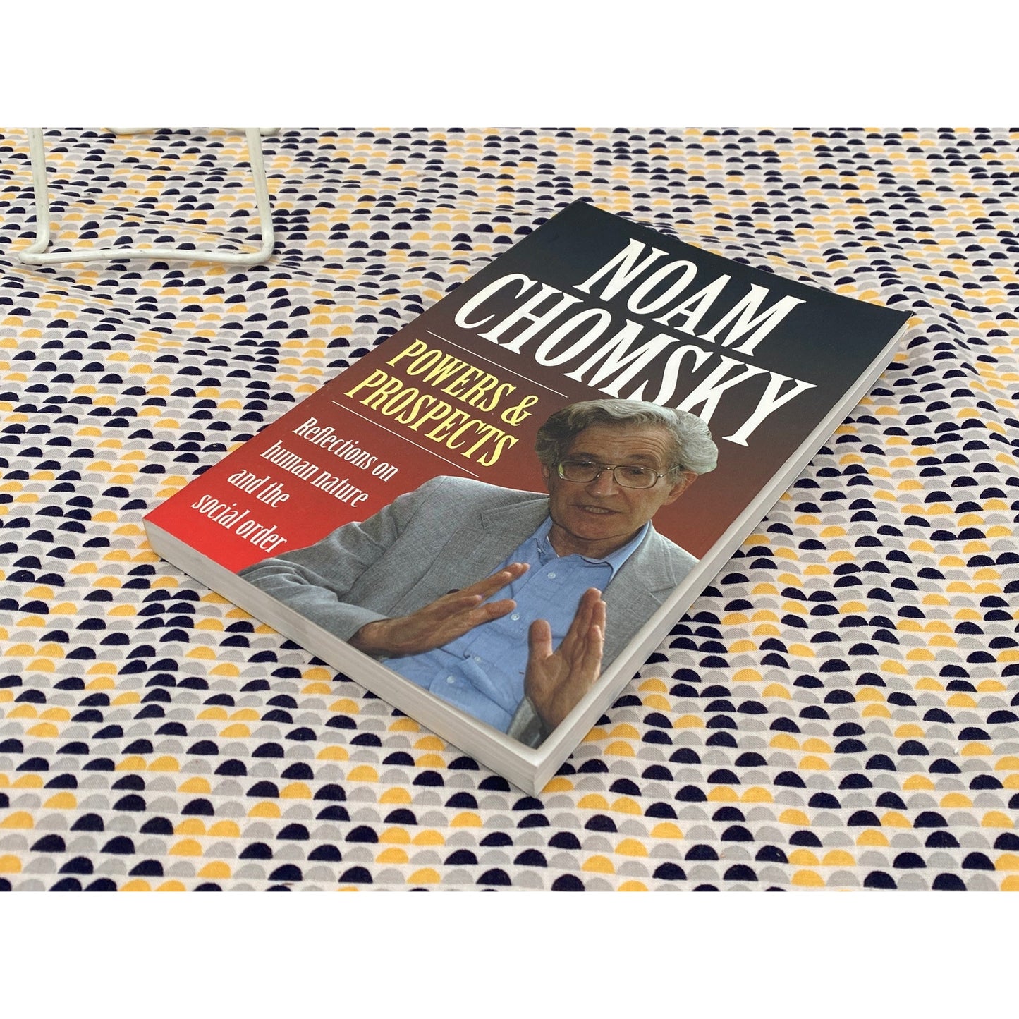 Noam Chomsky - Power and Prospects - Reflections on Human Nature & Social Order