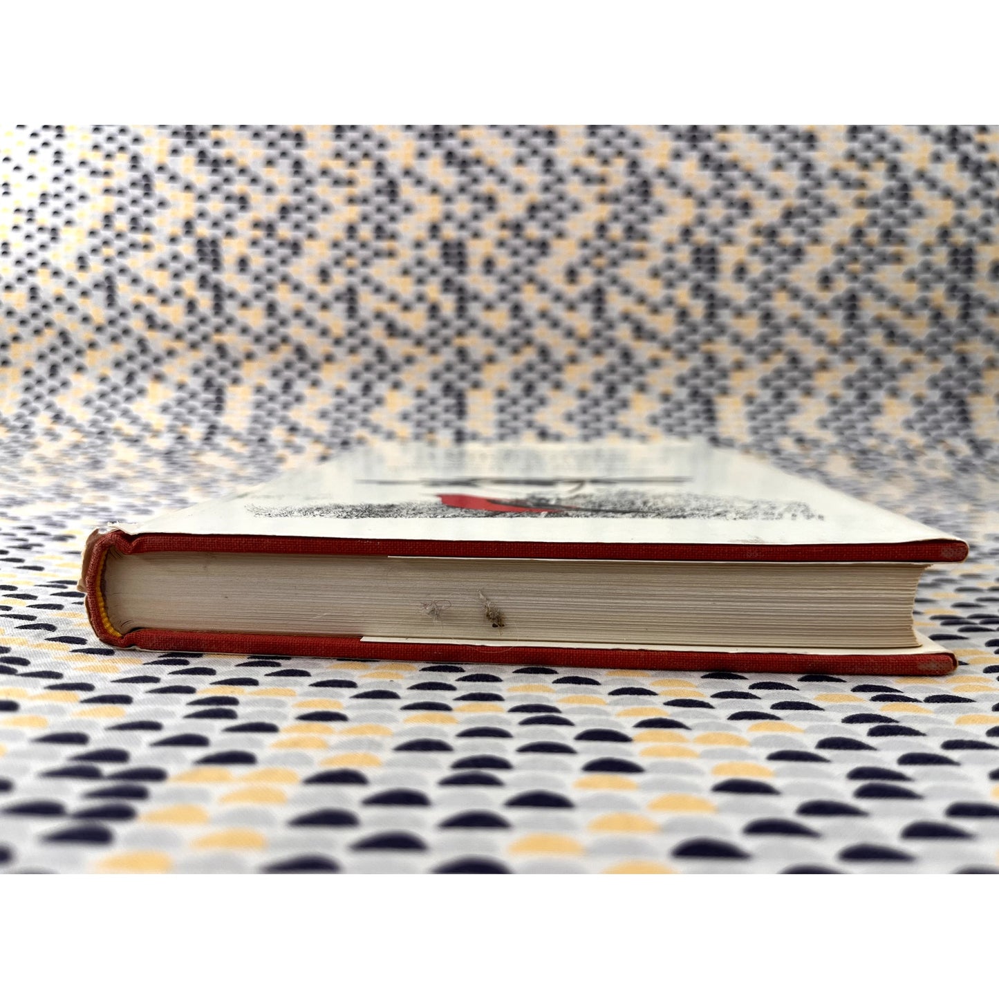 The Backyard Wilderness - Vincent Abraitys - Colombia Publishing - Hardcover