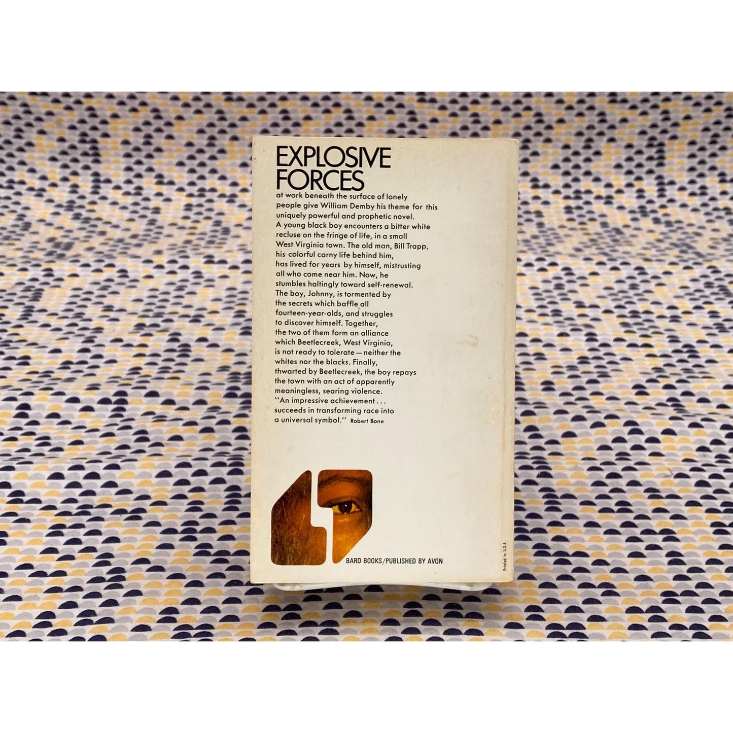 Beetlecreek - William Demby - Vintage Paperback Book - Bard Books/Avon Edition