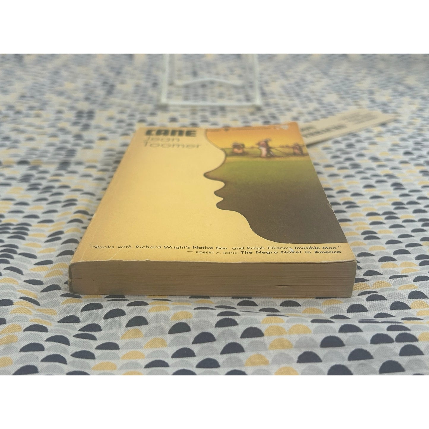 Cane - Jean Paul Toomer - Vintage Paperback Book- Perennial / Harper & Row Edition