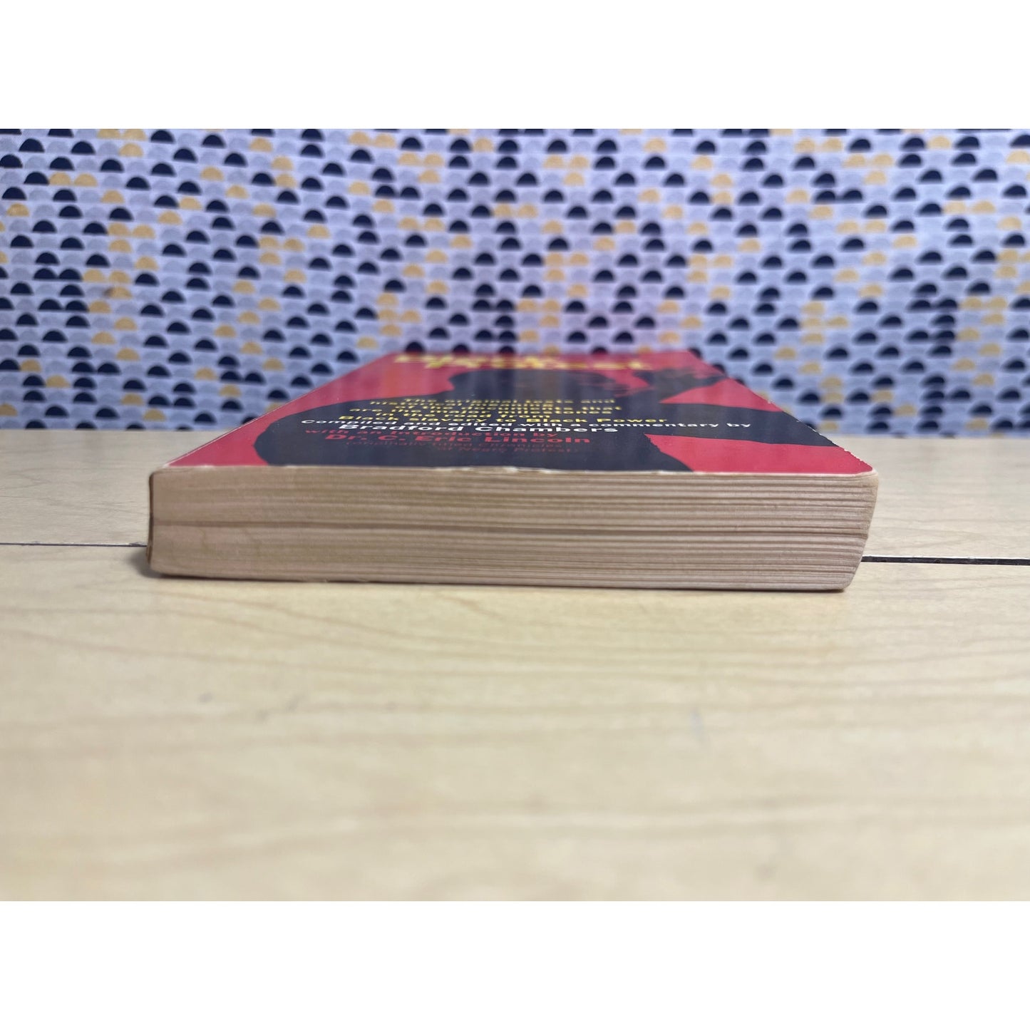 Chronicles of Black Protest - Bradford Chambers - Mentor Books - Paperback