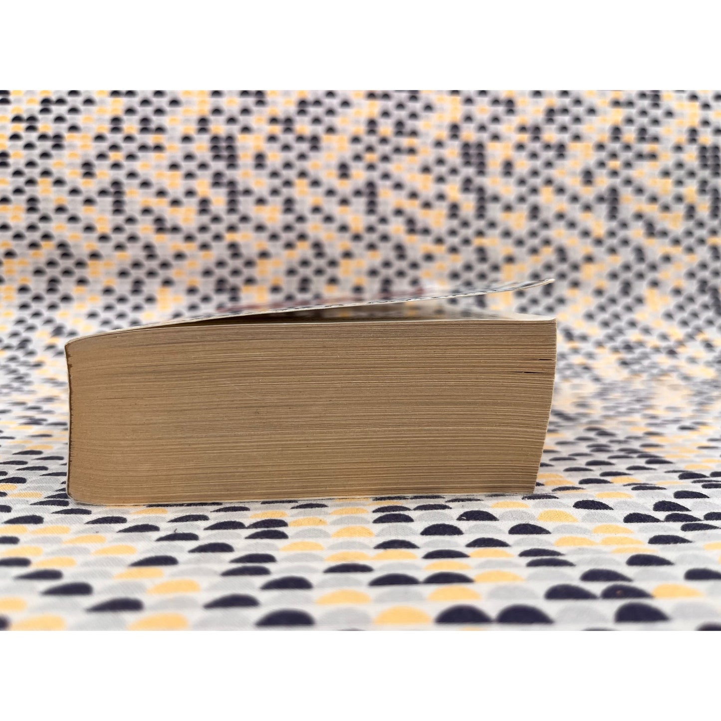 George R.R. Martin - Game Of Thrones - Vintage Paperback Book - Bantam Books - 1st Paperback Printing